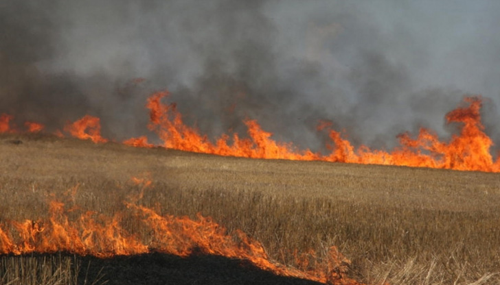 Пожар е унищожил 600 декара пшеница в землището на с.