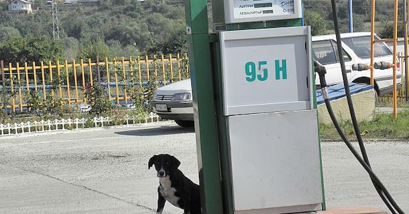 У нас от общата цена на бензин А95 40% отиват