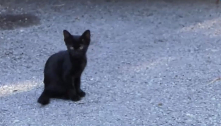 Тя хвърлила няколко пъти срещу парапет на тераса две малки