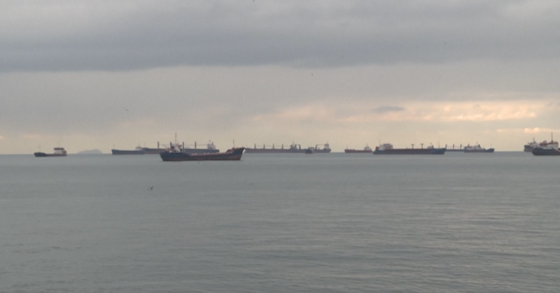 Първите кораби с украинско зърно може да отплават още днес,