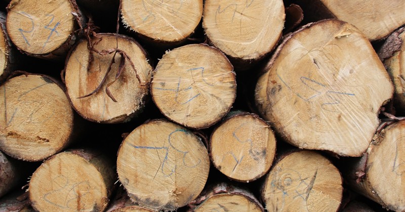 Осигурени са над 1 млн. куб. м цепеници за населениетоЕдин