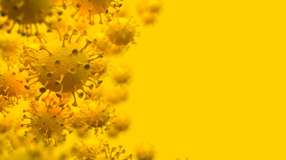 Област Русе се нарежда на дванайсето място в страната по