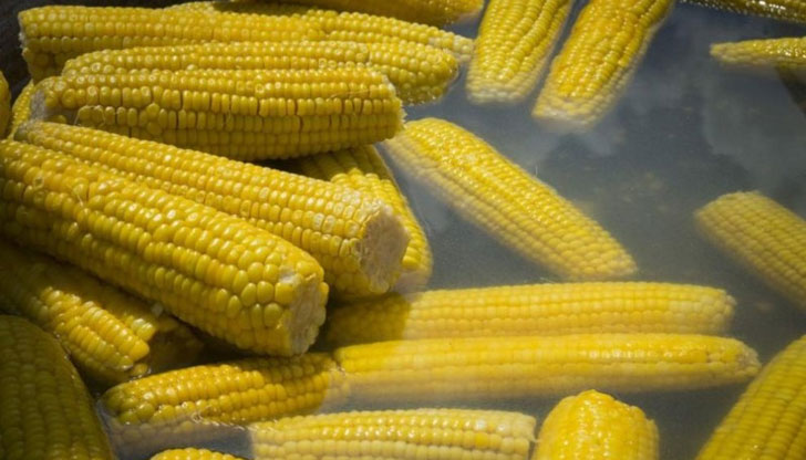 Поради фибрите, съдържащи се в царевицата, не всеки трябва да