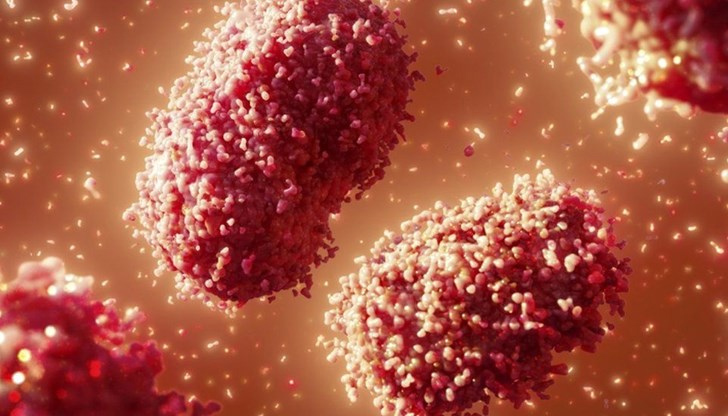 За разлика от коронавируса, маймунската шарка не е нов вирус"Броят