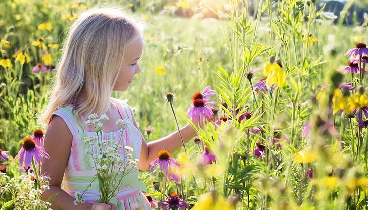 Народните поверия са склад за мъдри съвети, които се носят