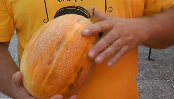 В село Българево по традиция в разгара на лятото се