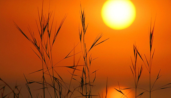 През Горещниците не се ходи на нива, не се работи,