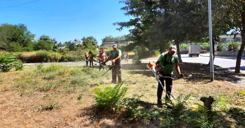 И през настоящата седмица продължава косенето по график на тревните