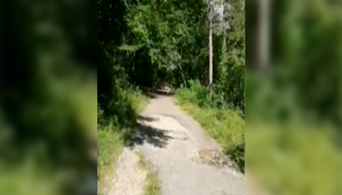 Районът, където 51-годишна жена от София загина, вследствие на падане