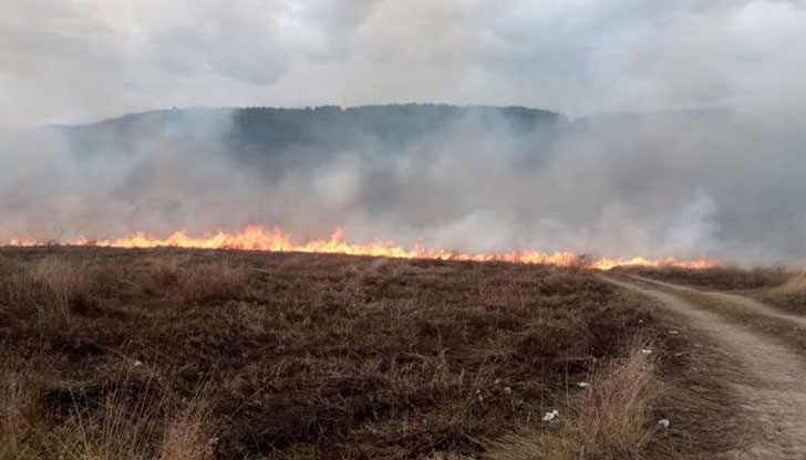 От 25 юли до 7 август се забранява косенето на