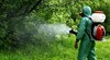 Пръскат срещу комари на 18 август в села и квартали около Русе