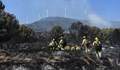 Испанските пожарникари овладяха горските пожари в област Валенсия
