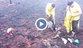 Пожарникари спасяват мравояд след голям горски пожар в Боливия