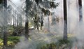 Три общини са в бедствено положение заради пожари