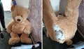 Беглец от закона се скри в плюшена играчка