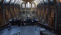 Музеи ще подслоняват хора, които не могат да си плащат сметките за ток във Великобритания