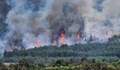 Пожарът край Елшица е тръгнал от запалено стърнище