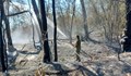Голям пожар гори в Сакар планина