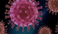 Новите случаи на на коронавирус намаляват