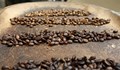Кафето може да поскъпне заради по-слабата реколта в Бразилия