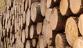 Търсенето на дърва за огрев е в пъти по-голямо от предходни години