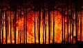 Над 1300 души бяха евакуирани в Испания заради горски пожар