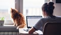 Хоум офис: Дистанционната работа вече не е толкова мечтана