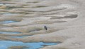 ООН: България ще е сред най-засегнатите от засушавания страни в света