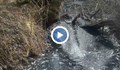 Мъртва риба изплува в река във Великотърновско