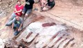 Учени откриха напълно запазен скелет на динозавър в частен двор в Португалия