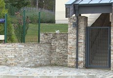 Има задържан и обвинен за убийството на швейцарския бизнесмен Удо