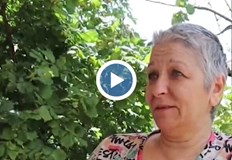 Добрички неврохирурзи спасиха живота на 60 годишна жена жертва на грабеж Тя