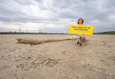 Често се оплакваме от липсата на мостове над река Дунав между