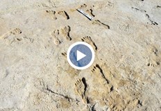 Те се натъкнали на находката случайноУчени в Юта откриха отпечатъци