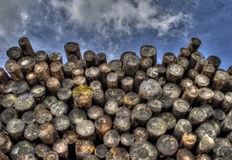 Складът е локализиран в ДЛС Дунав Русе в разсадник Хотанца Въпреки