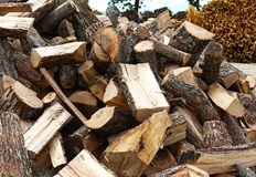 Дърва няма Ако пък изобщо има то цената е