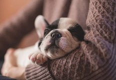 Загубили са живота си три дни след появата на първите