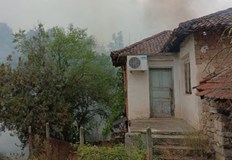 Няколко екипа огнеборци са на мястоГорят къщи и борова гора