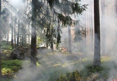 Заради силни и излизащи извън контрол пожари обявиха бедствено положение