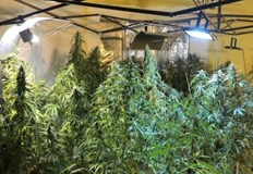 Антимафиоти разкриха наркооранжерия в РусеСлужители на ГДБОП МВР са задържали 3