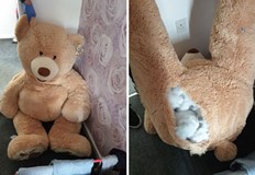 Когато гузната съвест проговори може да се случат доста нелепи