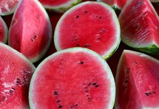 Тонове дини останаха по полето заради липса на пазариЕвтина гръцка