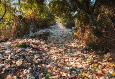 Методът е разработен от химици от САЩ и КитайУчени откриха