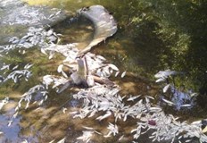 Повечето от домовете вече имат вода въпреки че не става