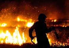 На острова горят горски площи и ливадиРазпореждане за евакуация са