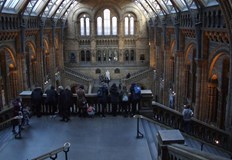 Британските библиотеки и музеи се подготвят да бъдат топло убежище