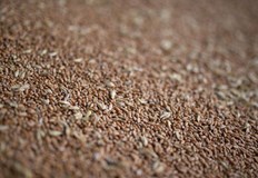 Зърнопроизводителите у нас се подготвят за протестни действия заради нерегламентирания