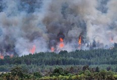 Това обявиха от прокуратуратаРайонната прокуратура Пазарджик е образувала досъдебно производство