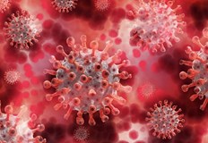 В Русе новите случаи са 621750 са новите случаи на