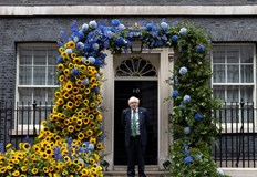 За направата на арката са използвани 800 слънчогледа от три